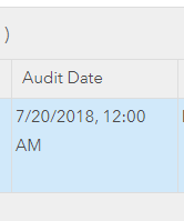 XLSForm date field is still date/time in the feature service.